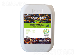 �����sԭ�{-ī��-��˹�r