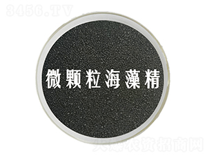 ΢�w�����徫-��˹�r