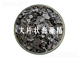 ��Ƭ��徫-��˹�r