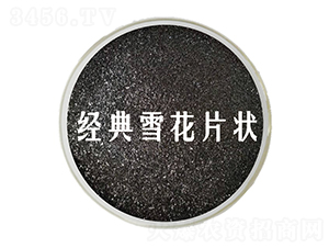 ����ѩ��Ƭ��徫-��˹�r