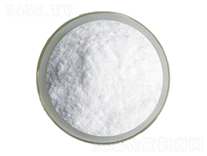 �����G�~����-�G�Y�ģ���ئ��-��˹�r