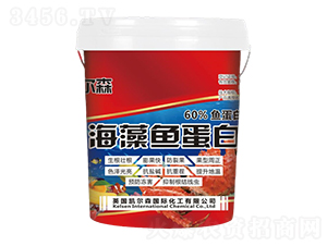 �����~����-�P��ɭ-����Ƽ�