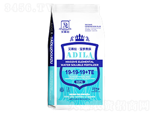 ����Ԫ��ˮ�ܷ���19-19-19+TE-�����������_�F��