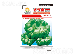 �����ϷN��-������-̫��(l��)�N�I(y��)