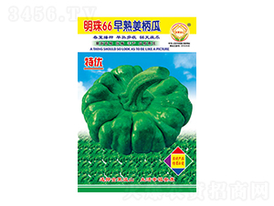 �����ϷN��-����66-̫��(l��)�N�I(y��)