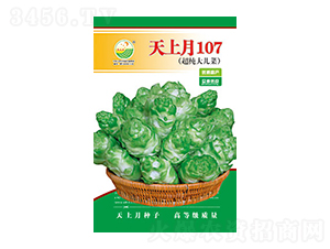 ���˷N��-������107-̫��(l��)�N�I(y��)