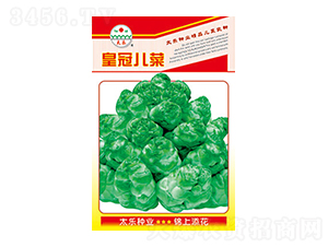 ���˷N��-�ʹڃ���-̫��(l��)�N�I(y��)