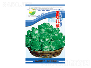 ���˷N��-��������-̫��(l��)�N�I(y��)