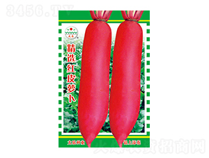 �}���N��-���x�tƤ�}��-̫���N�I(y��)