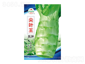 �n�S�N��-���~��-̫��(l��)�N�I(y��)