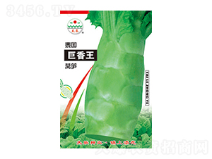 �n�S�N��-̩��(gu��)������-̫��(l��)�N�I(y��)