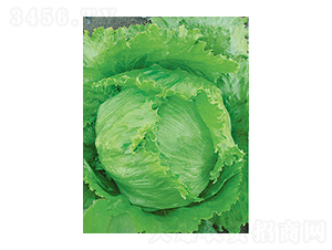 ���˷N��-̫��(l��)�N�I(y��)