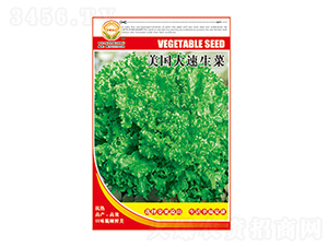 ���˷N��-����(gu��)��������-̫��(l��)�N�I(y��)