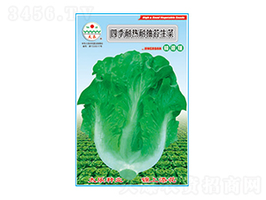 ���˷N��-�ļ��͟��ͳ�̦����-̫��(l��)�N�I(y��)