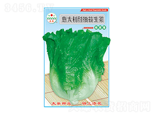 ���˷N��-������ͳ�̦����-̫��(l��)�N�I(y��)