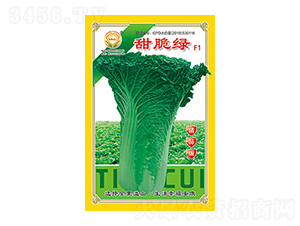 �ײ˷N��-���G��Ʒ��-̫���N�I(y��)