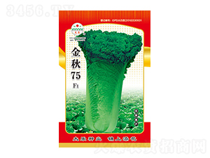 �ײ˷N��-����75-̫���N�I(y��)