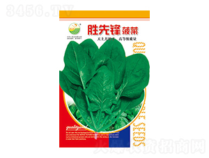 ���˷N��-�����h-̫��(l��)�N�I(y��)