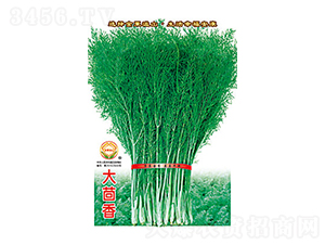 ������-̫���N�I(y��)