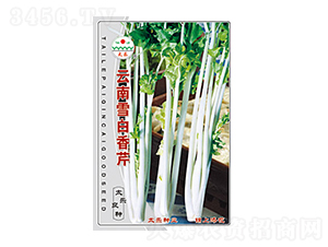 ����ѩ������-̫���N�I(y��)