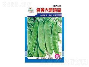 �㶹�N��-ʳ�v����㶹-̫���N�I(y��)