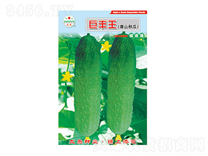 �S�ϷN��-���S��-̫���N�I(y��)