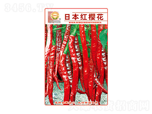 �����N��-�ձ��t�ѻ�-̫���N�I(y��)