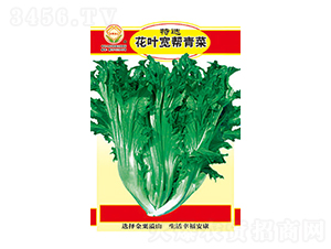 ��˷N��-���x���~�������-̫��(l��)�N�I(y��)