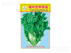 ��˷N��-���~�������-̫��(l��)�N�I(y��)