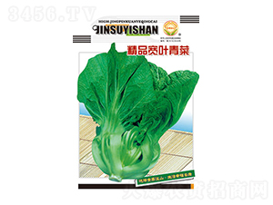 ��˷N��-��Ʒ���~���-̫��(l��)�N�I(y��)