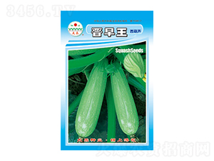 �����J�N��-�x����-̫��(l��)�N�I(y��)