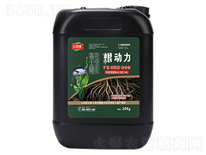 �VԴ�����徫���ۺ���-����(d��ng)��-�|ķ��