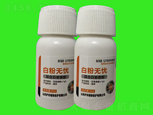 �׷۟o�n-�V�V����ˎ������-�o(h��)�r(n��ng)ֲ��