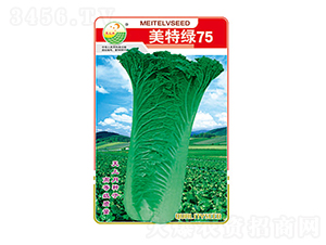 �ײ˷N��-���ؾG75-̫���N�I(y��)