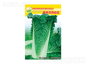 �ײ˷N��-�ձ������ײ�-̫���N�I(y��)