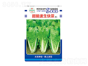 �ײ˷N��-����������-̫���N�I(y��)