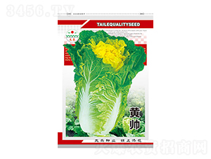 �ײ˷N��-�S��-̫���N�I(y��)