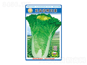 �ײ˷N��-�����ײ�-̫���N�I(y��)