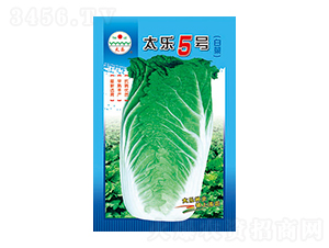 �ײ˷N��-̫��5̖-̫���N�I(y��)