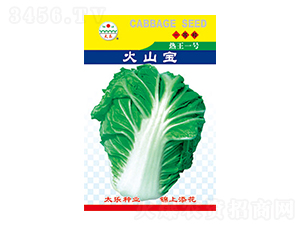 �ײ˷N��-��ɽ��-̫���N�I(y��)