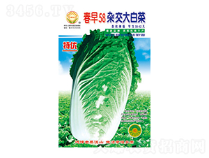 �ײ˷N��-����58-̫���N�I(y��)