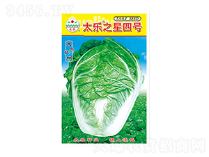 �ײ˷N��-̫��֮����̖-̫���N�I(y��)