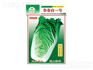 �ײ˷N��-�����ס�̖-̫���N�I(y��)