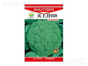 ���m���N��-������020-̫���N�I(y��)