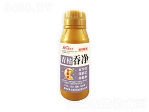 ����̃�-�����r(n��ng)��