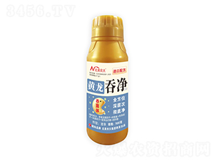 �S���̃�-�����r(n��ng)��