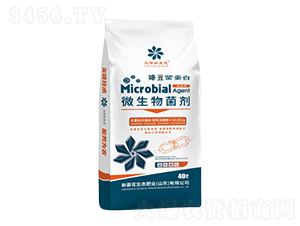 ΢��������ۄ�-�鶹������-���⻨