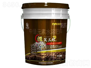 ��Ц��������Ԫ��ˮ�ܷ���-��ǰ�S