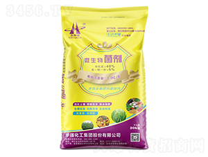 ΢�������-���A��-�A���������F(tu��n)