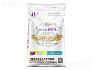 1�|���΢�������-���A��-�A���������F(tu��n)